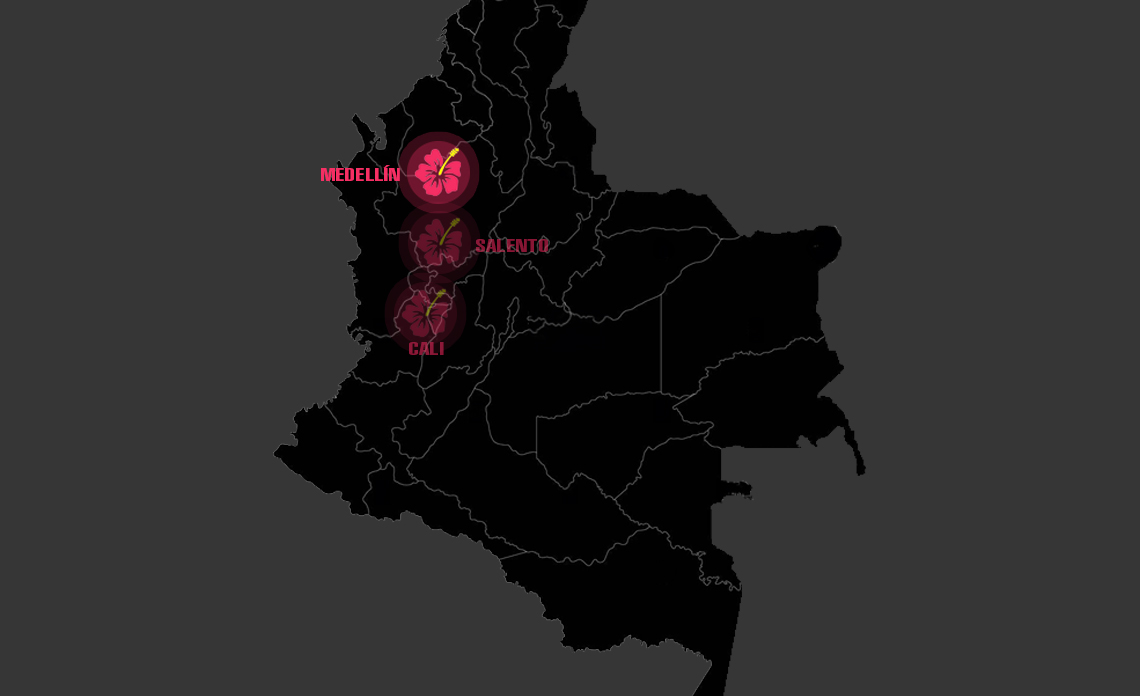 Dia 6: MEDELLÍN