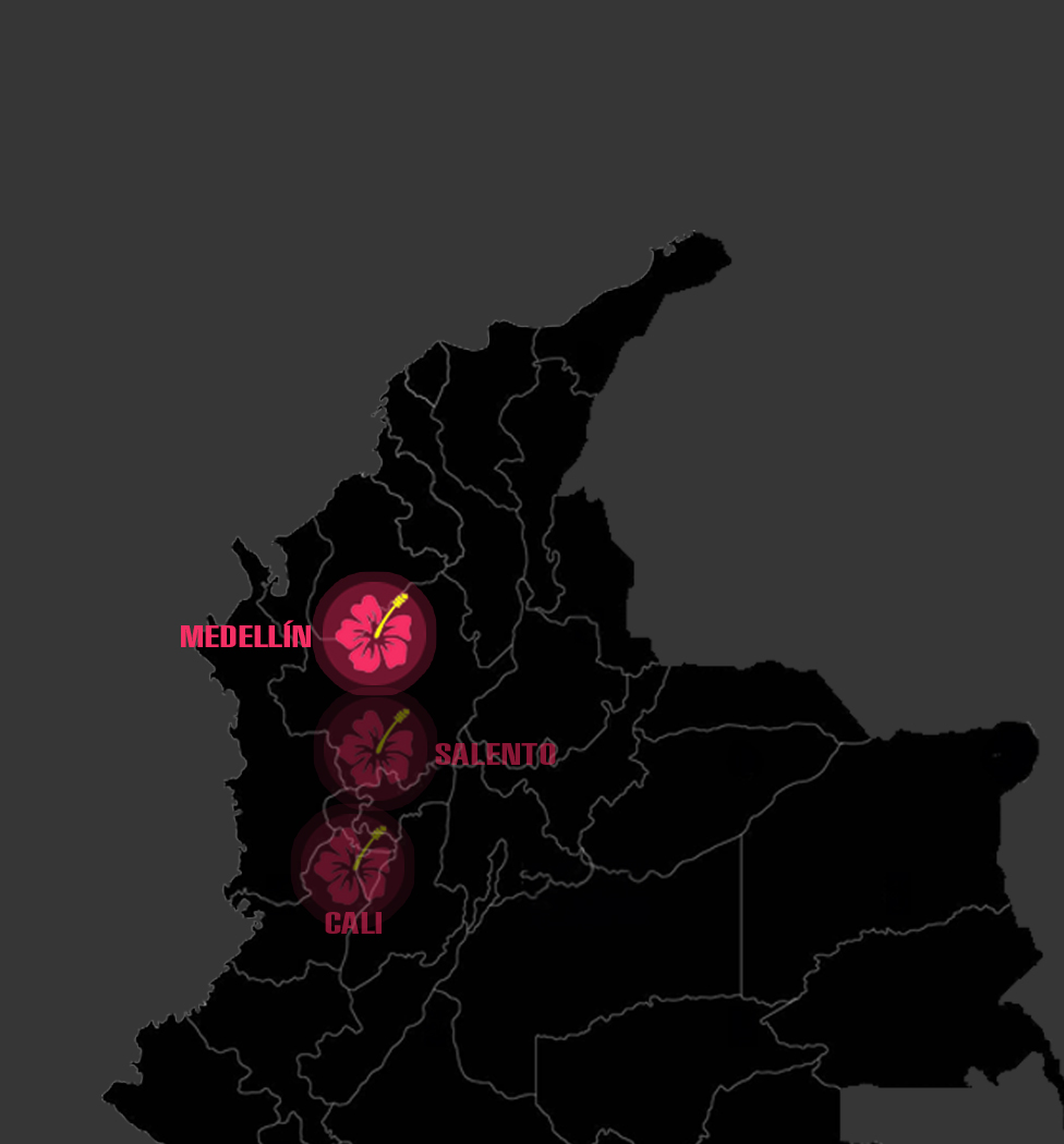 Dia 6: MEDELLÍN